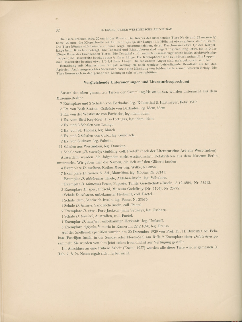 Ueber Westindische Aplysiidae und verwandten anderer gebiete - Capita Zoologica Vol VIII, part 1 (Zoologische Ergebnisse einer Reise nach Bonaire, Curacao und Aruba, nr 23) - New Page