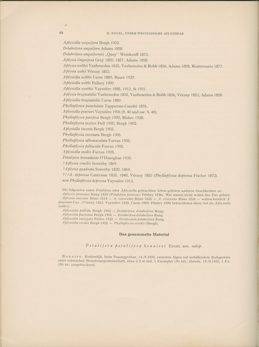 Ueber Westindische Aplysiidae und verwandten anderer gebiete - Capita Zoologica Vol VIII, part 1 (Zoologische Ergebnisse einer Reise nach Bonaire, Curacao und Aruba, nr 23) - New Page