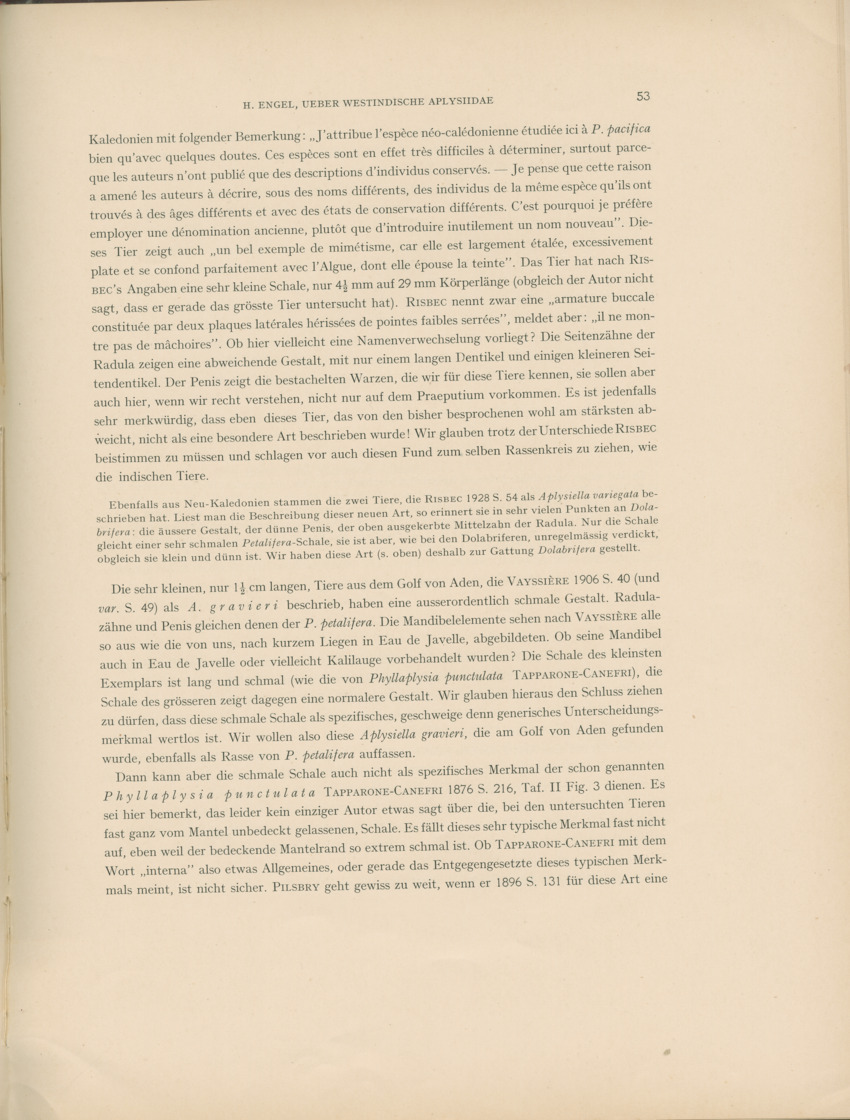 Ueber Westindische Aplysiidae und verwandten anderer gebiete - Capita Zoologica Vol VIII, part 1 (Zoologische Ergebnisse einer Reise nach Bonaire, Curacao und Aruba, nr 23) - New Page