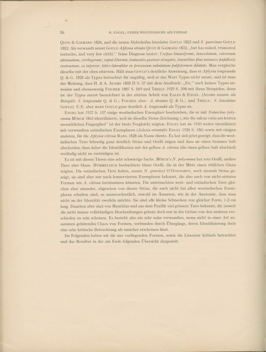 Ueber Westindische Aplysiidae und verwandten anderer gebiete - Capita Zoologica Vol VIII, part 1 (Zoologische Ergebnisse einer Reise nach Bonaire, Curacao und Aruba, nr 23) - New Page