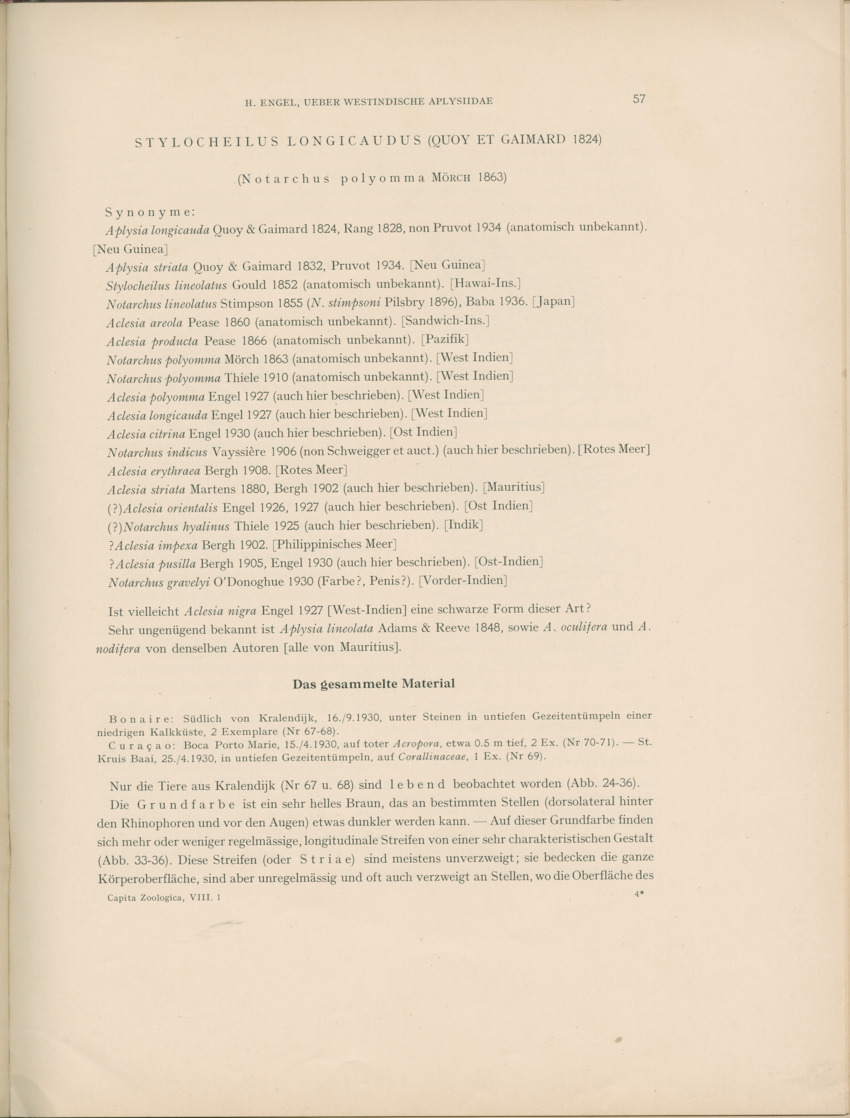 Ueber Westindische Aplysiidae und verwandten anderer gebiete - Capita Zoologica Vol VIII, part 1 (Zoologische Ergebnisse einer Reise nach Bonaire, Curacao und Aruba, nr 23) - New Page