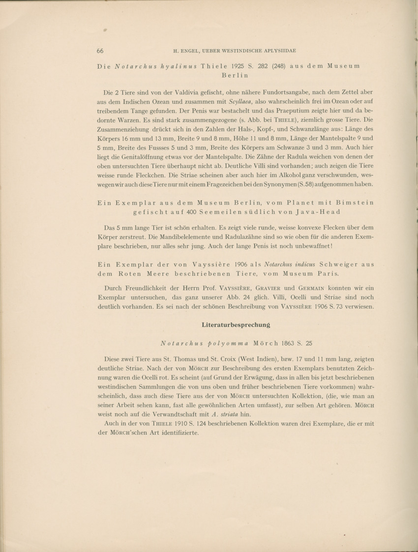 Ueber Westindische Aplysiidae und verwandten anderer gebiete - Capita Zoologica Vol VIII, part 1 (Zoologische Ergebnisse einer Reise nach Bonaire, Curacao und Aruba, nr 23) - New Page