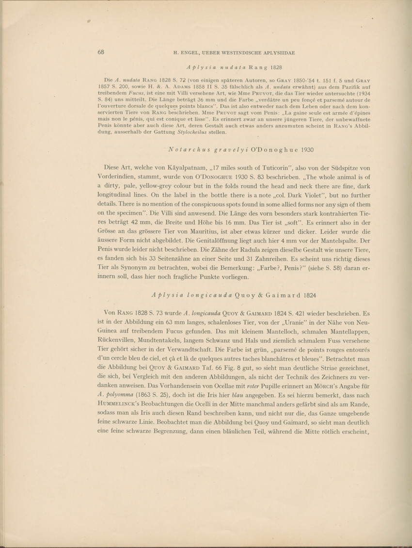 Ueber Westindische Aplysiidae und verwandten anderer gebiete - Capita Zoologica Vol VIII, part 1 (Zoologische Ergebnisse einer Reise nach Bonaire, Curacao und Aruba, nr 23) - New Page