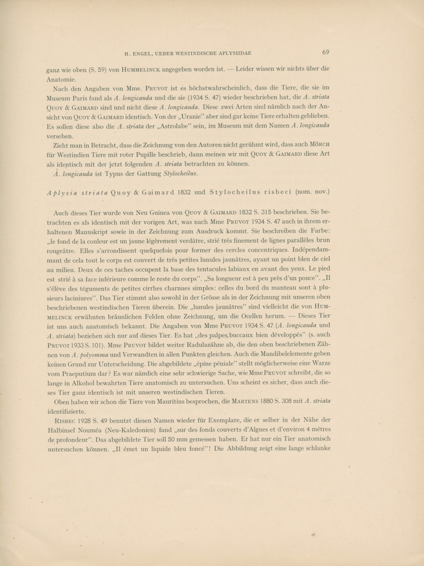 Ueber Westindische Aplysiidae und verwandten anderer gebiete - Capita Zoologica Vol VIII, part 1 (Zoologische Ergebnisse einer Reise nach Bonaire, Curacao und Aruba, nr 23) - New Page