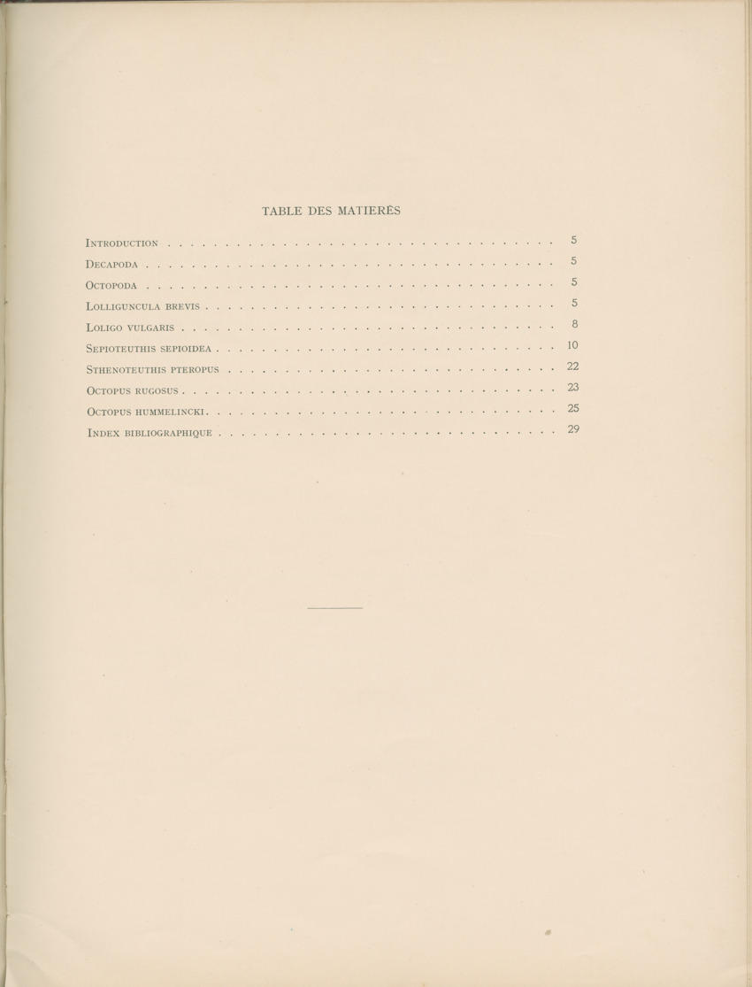 Cephalopodes des iles Bonaire et Curacao (avec un revision du genre Sepiotheutis de la cote Americaine) - Capita Zoologica Vol VIII, part 3 (Zoologische Ergebnisse einer Reise nach Bonaire, Curacao und Aruba, nr 24) - New Page