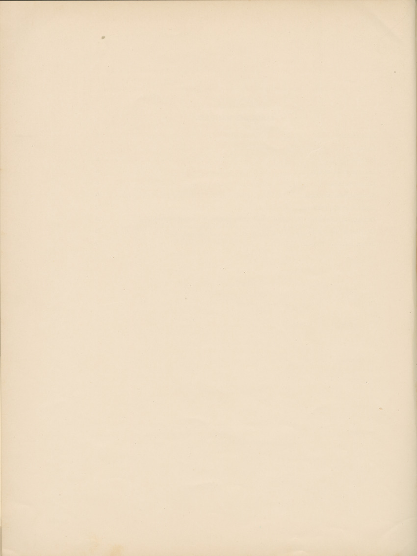 Cephalopodes des iles Bonaire et Curacao (avec un revision du genre Sepiotheutis de la cote Americaine) - Capita Zoologica Vol VIII, part 3 (Zoologische Ergebnisse einer Reise nach Bonaire, Curacao und Aruba, nr 24) - New Page