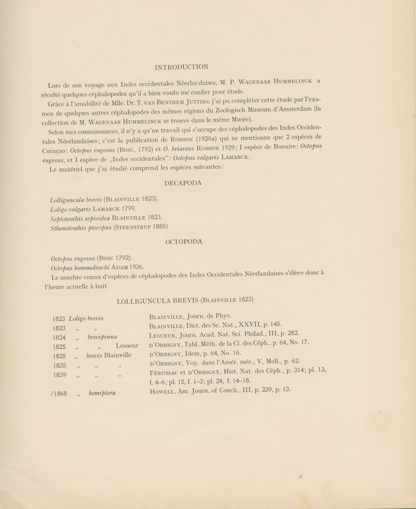 Cephalopodes des iles Bonaire et Curacao (avec un revision du genre Sepiotheutis de la cote Americaine) - Capita Zoologica Vol VIII, part 3 (Zoologische Ergebnisse einer Reise nach Bonaire, Curacao und Aruba, nr 24) - New Page