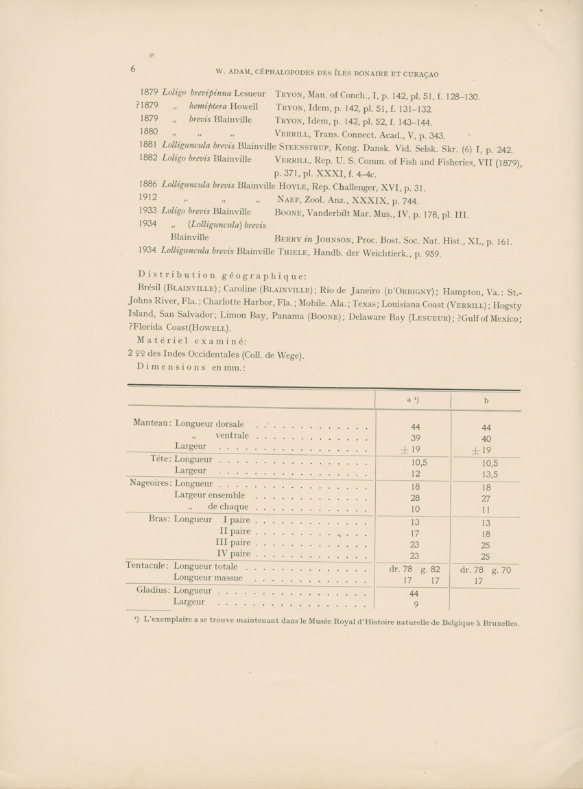 Cephalopodes des iles Bonaire et Curacao (avec un revision du genre Sepiotheutis de la cote Americaine) - Capita Zoologica Vol VIII, part 3 (Zoologische Ergebnisse einer Reise nach Bonaire, Curacao und Aruba, nr 24) - New Page