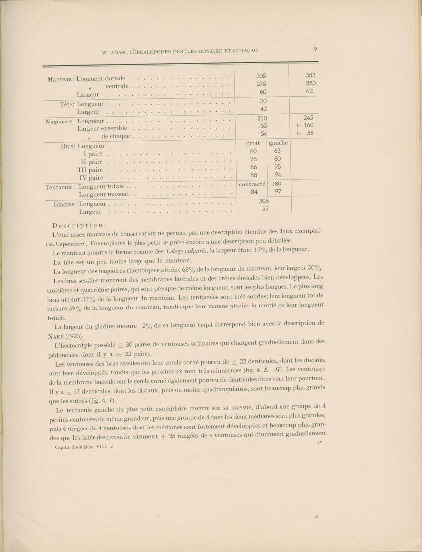 Cephalopodes des iles Bonaire et Curacao (avec un revision du genre Sepiotheutis de la cote Americaine) - Capita Zoologica Vol VIII, part 3 (Zoologische Ergebnisse einer Reise nach Bonaire, Curacao und Aruba, nr 24) - New Page