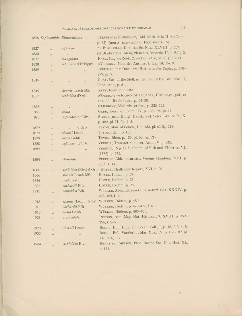 Cephalopodes des iles Bonaire et Curacao (avec un revision du genre Sepiotheutis de la cote Americaine) - Capita Zoologica Vol VIII, part 3 (Zoologische Ergebnisse einer Reise nach Bonaire, Curacao und Aruba, nr 24) - New Page