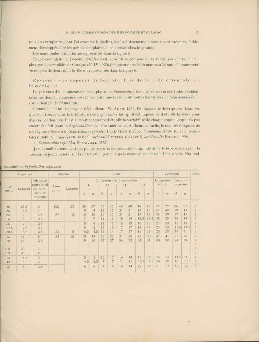 Cephalopodes des iles Bonaire et Curacao (avec un revision du genre Sepiotheutis de la cote Americaine) - Capita Zoologica Vol VIII, part 3 (Zoologische Ergebnisse einer Reise nach Bonaire, Curacao und Aruba, nr 24) - New Page