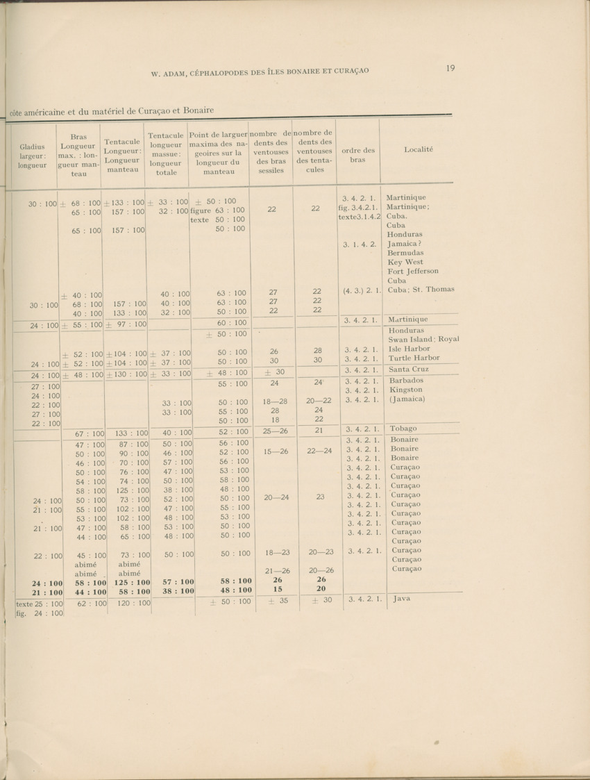 Cephalopodes des iles Bonaire et Curacao (avec un revision du genre Sepiotheutis de la cote Americaine) - Capita Zoologica Vol VIII, part 3 (Zoologische Ergebnisse einer Reise nach Bonaire, Curacao und Aruba, nr 24) - New Page