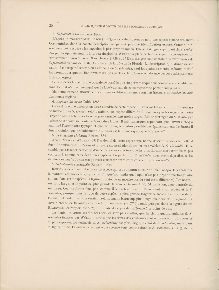 Cephalopodes des iles Bonaire et Curacao (avec un revision du genre Sepiotheutis de la cote Americaine) - Capita Zoologica Vol VIII, part 3 (Zoologische Ergebnisse einer Reise nach Bonaire, Curacao und Aruba, nr 24) - New Page