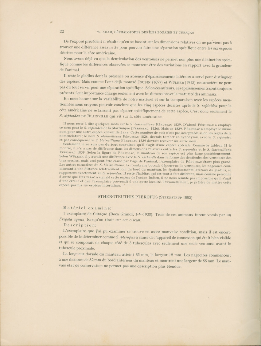 Cephalopodes des iles Bonaire et Curacao (avec un revision du genre Sepiotheutis de la cote Americaine) - Capita Zoologica Vol VIII, part 3 (Zoologische Ergebnisse einer Reise nach Bonaire, Curacao und Aruba, nr 24) - New Page