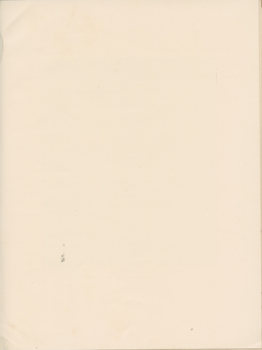 Cephalopodes des iles Bonaire et Curacao (avec un revision du genre Sepiotheutis de la cote Americaine) - Capita Zoologica Vol VIII, part 3 (Zoologische Ergebnisse einer Reise nach Bonaire, Curacao und Aruba, nr 24) - New Page