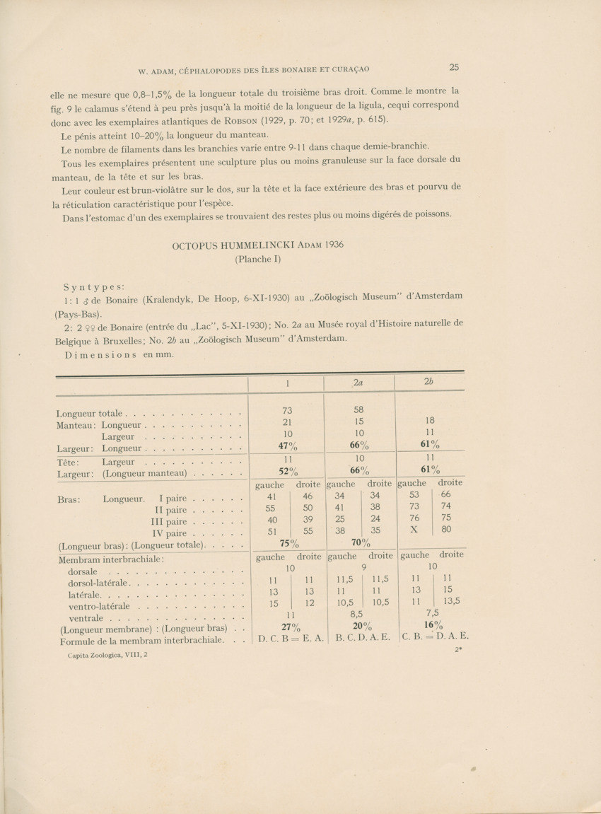 Cephalopodes des iles Bonaire et Curacao (avec un revision du genre Sepiotheutis de la cote Americaine) - Capita Zoologica Vol VIII, part 3 (Zoologische Ergebnisse einer Reise nach Bonaire, Curacao und Aruba, nr 24) - New Page