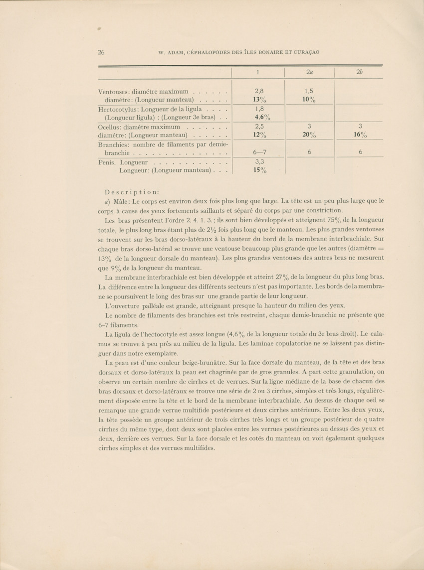 Cephalopodes des iles Bonaire et Curacao (avec un revision du genre Sepiotheutis de la cote Americaine) - Capita Zoologica Vol VIII, part 3 (Zoologische Ergebnisse einer Reise nach Bonaire, Curacao und Aruba, nr 24) - New Page