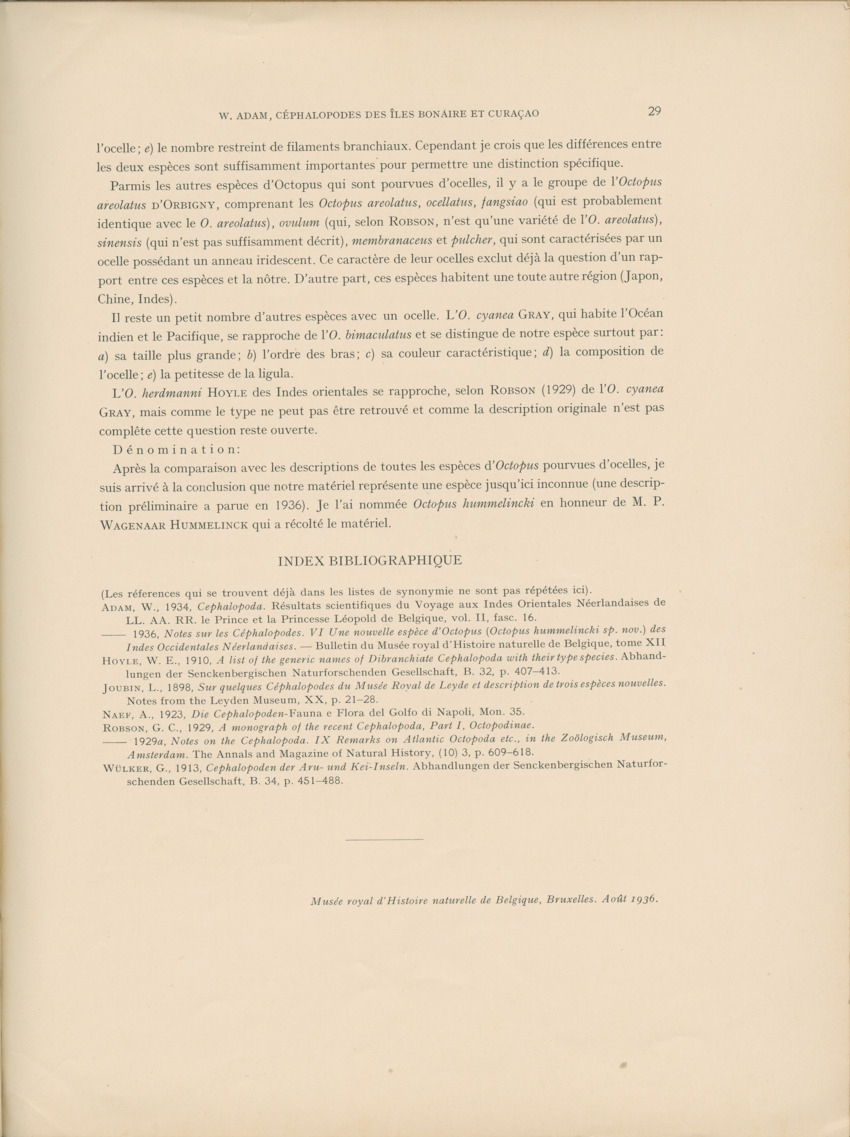 Cephalopodes des iles Bonaire et Curacao (avec un revision du genre Sepiotheutis de la cote Americaine) - Capita Zoologica Vol VIII, part 3 (Zoologische Ergebnisse einer Reise nach Bonaire, Curacao und Aruba, nr 24) - New Page