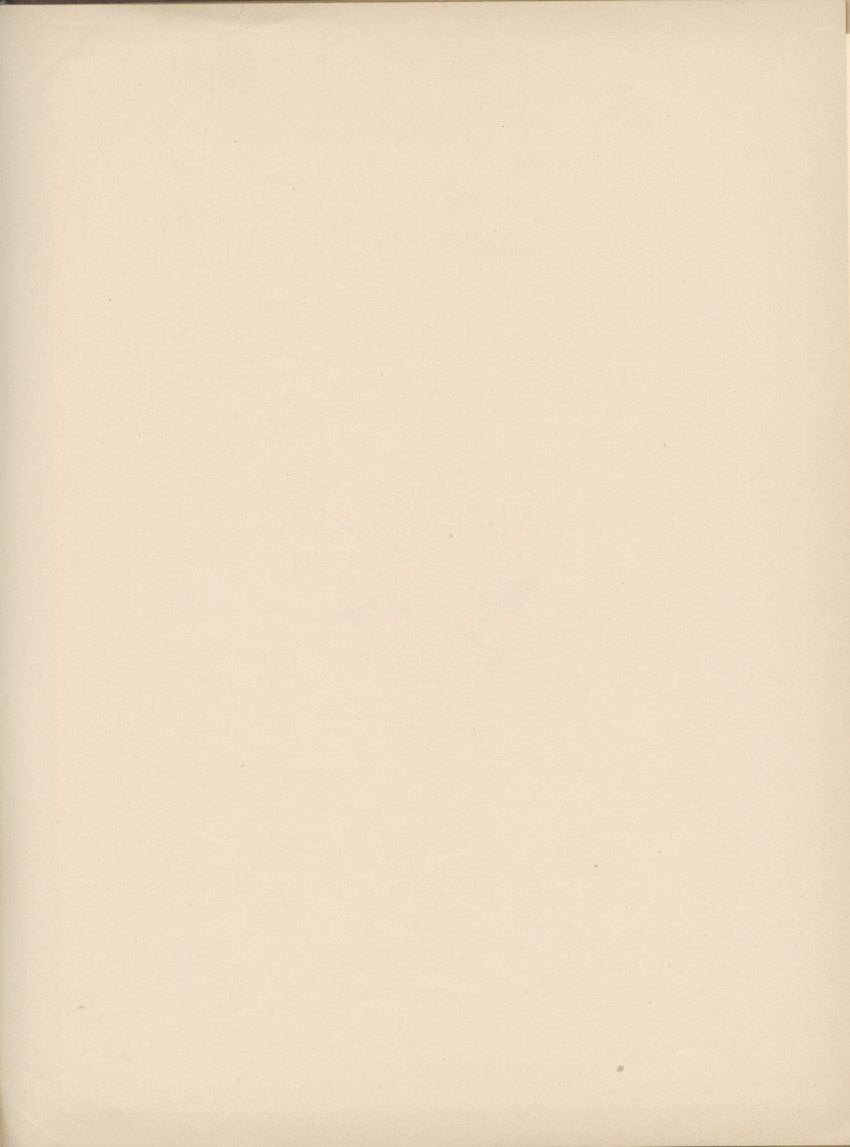 Cephalopodes des iles Bonaire et Curacao (avec un revision du genre Sepiotheutis de la cote Americaine) - Capita Zoologica Vol VIII, part 3 (Zoologische Ergebnisse einer Reise nach Bonaire, Curacao und Aruba, nr 24) - New Page