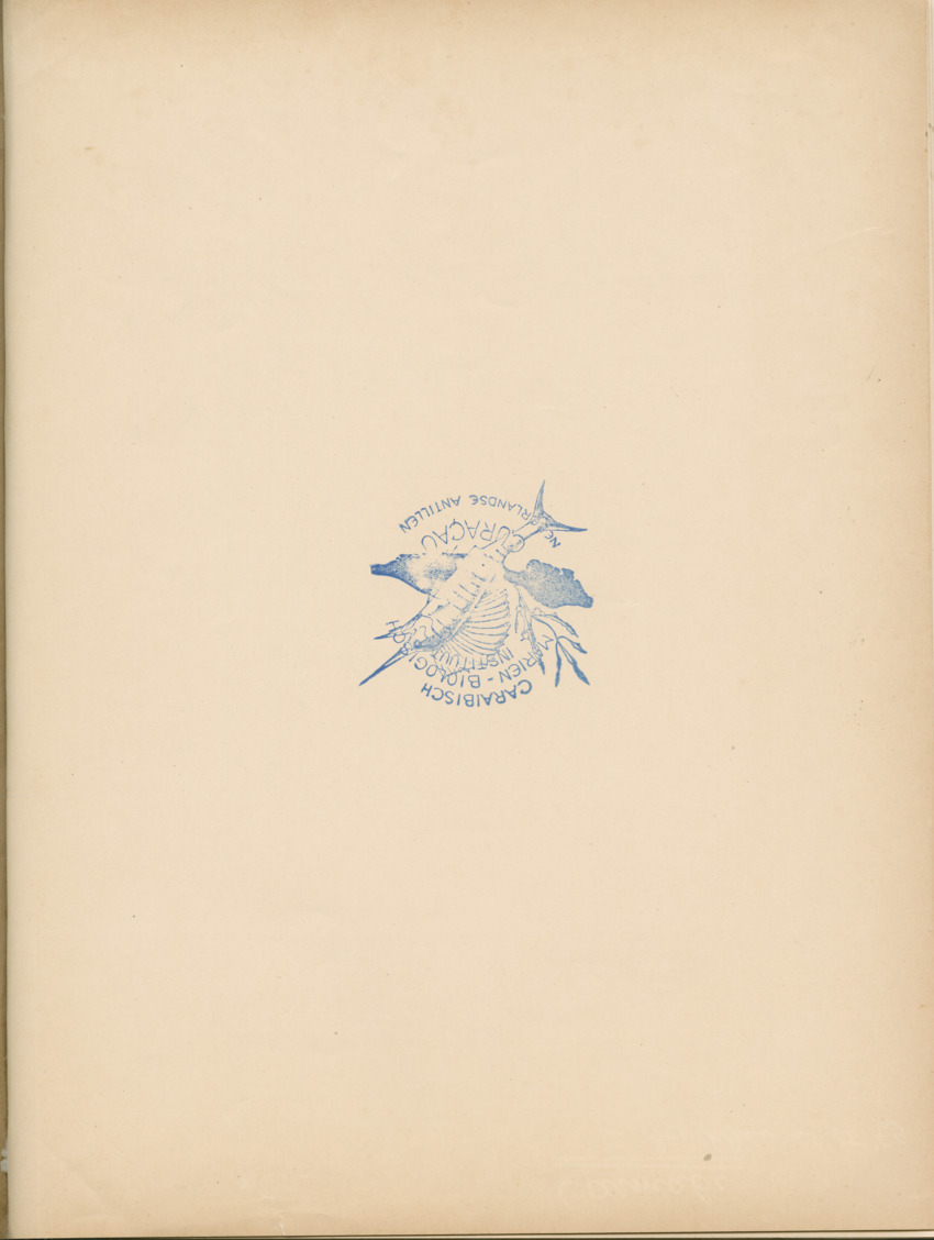 Cephalopodes des iles Bonaire et Curacao (avec un revision du genre Sepiotheutis de la cote Americaine) - Capita Zoologica Vol VIII, part 3 (Zoologische Ergebnisse einer Reise nach Bonaire, Curacao und Aruba, nr 24) - New Page