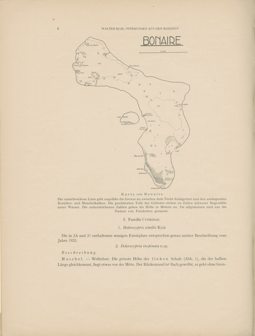 Ostracoden aus den marinen salinen von Bonaire, Curacao und Aruba - Capita Zoologica Vol VIII, part 4 (Zoologische Ergebnisse einer Reise nach Bonaire, Curacao und Aruba, nr 25) - New Page