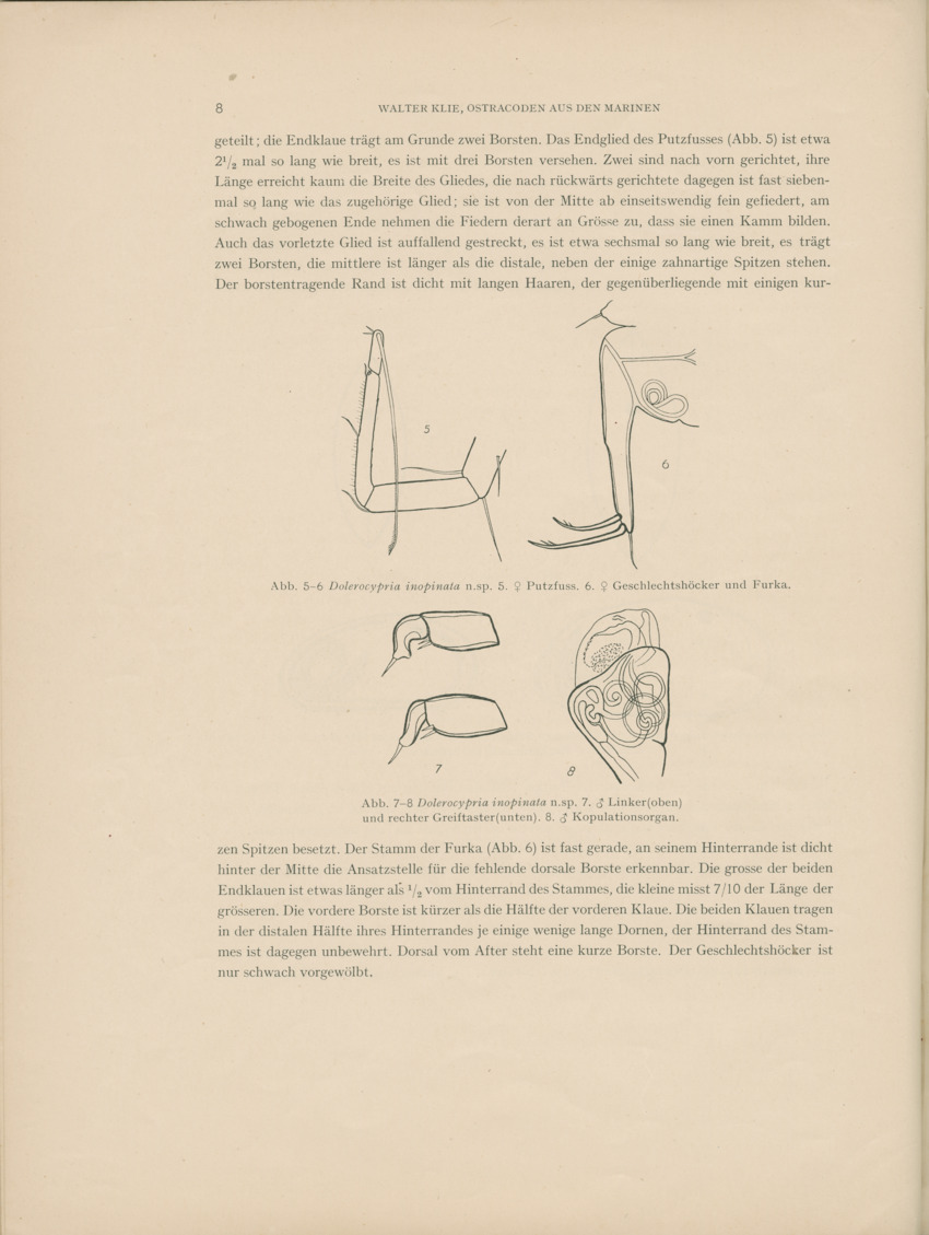 Ostracoden aus den marinen salinen von Bonaire, Curacao und Aruba - Capita Zoologica Vol VIII, part 4 (Zoologische Ergebnisse einer Reise nach Bonaire, Curacao und Aruba, nr 25) - New Page