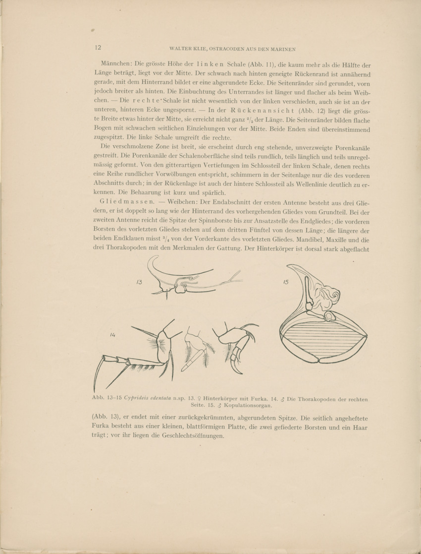 Ostracoden aus den marinen salinen von Bonaire, Curacao und Aruba - Capita Zoologica Vol VIII, part 4 (Zoologische Ergebnisse einer Reise nach Bonaire, Curacao und Aruba, nr 25) - New Page
