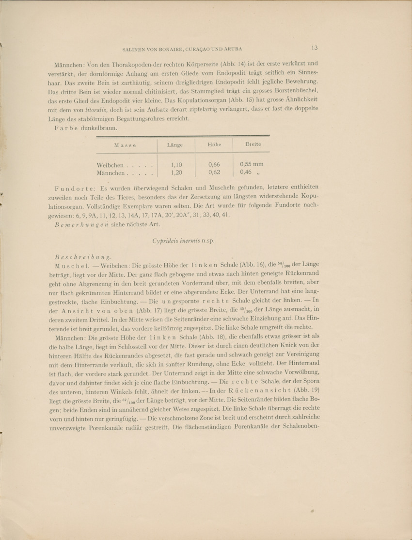 Ostracoden aus den marinen salinen von Bonaire, Curacao und Aruba - Capita Zoologica Vol VIII, part 4 (Zoologische Ergebnisse einer Reise nach Bonaire, Curacao und Aruba, nr 25) - New Page
