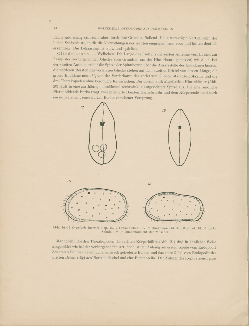 Ostracoden aus den marinen salinen von Bonaire, Curacao und Aruba - Capita Zoologica Vol VIII, part 4 (Zoologische Ergebnisse einer Reise nach Bonaire, Curacao und Aruba, nr 25) - New Page