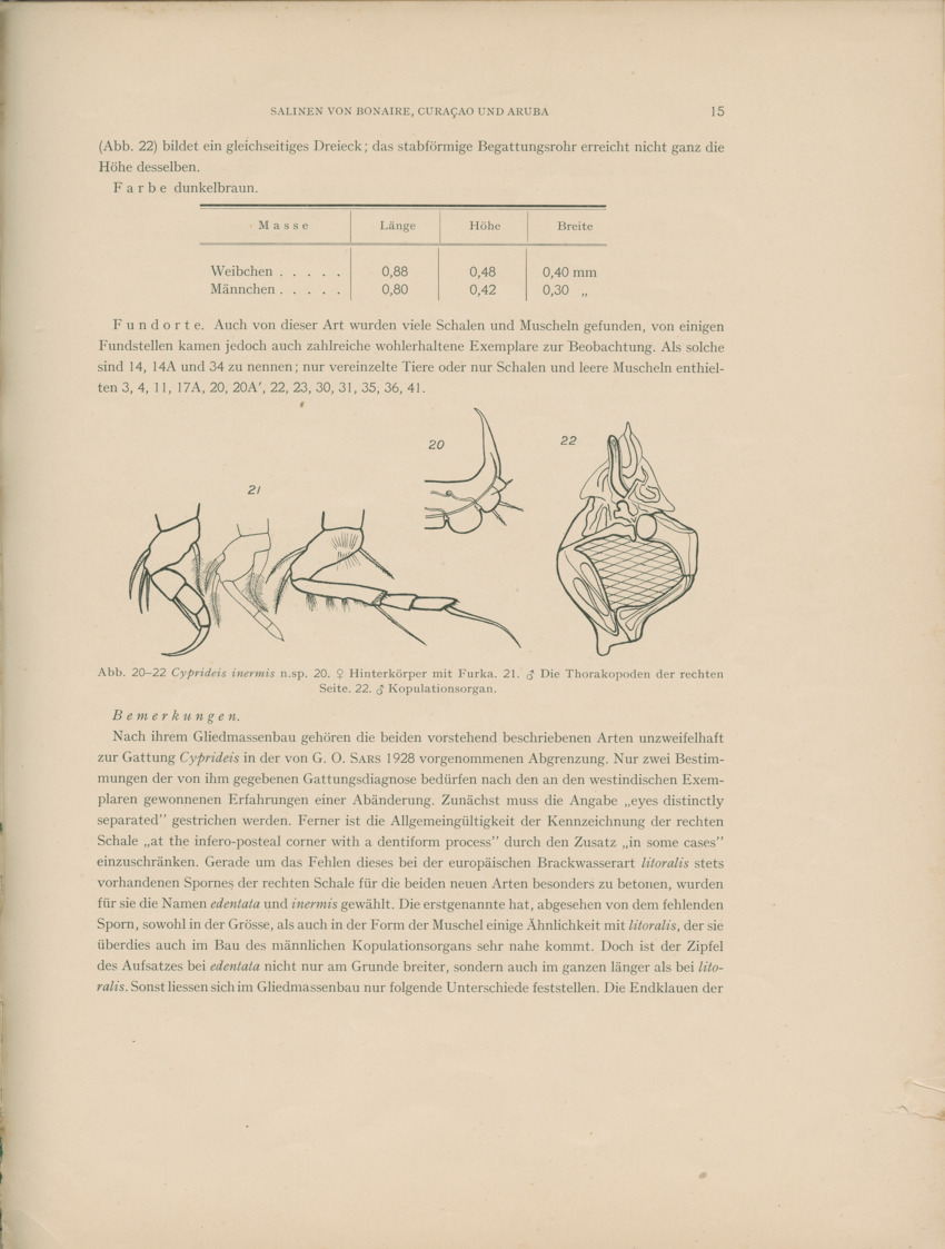 Ostracoden aus den marinen salinen von Bonaire, Curacao und Aruba - Capita Zoologica Vol VIII, part 4 (Zoologische Ergebnisse einer Reise nach Bonaire, Curacao und Aruba, nr 25) - New Page