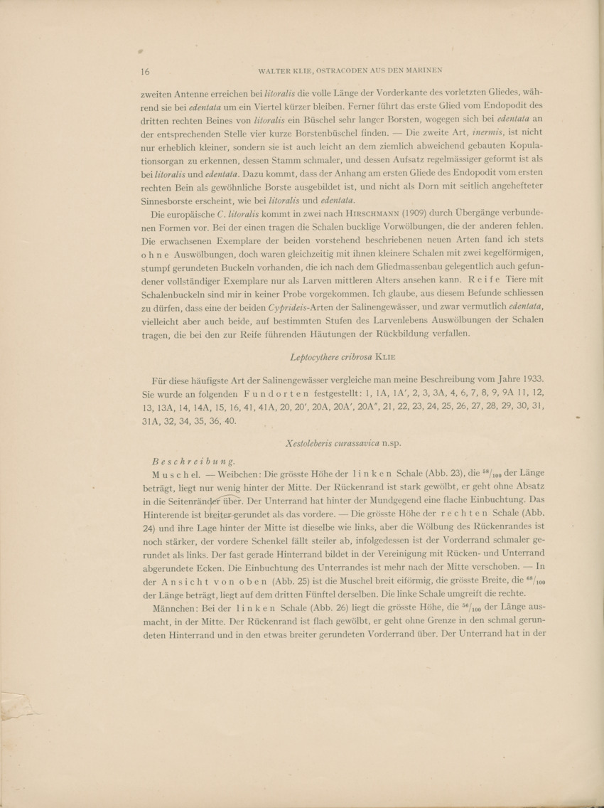 Ostracoden aus den marinen salinen von Bonaire, Curacao und Aruba - Capita Zoologica Vol VIII, part 4 (Zoologische Ergebnisse einer Reise nach Bonaire, Curacao und Aruba, nr 25) - New Page