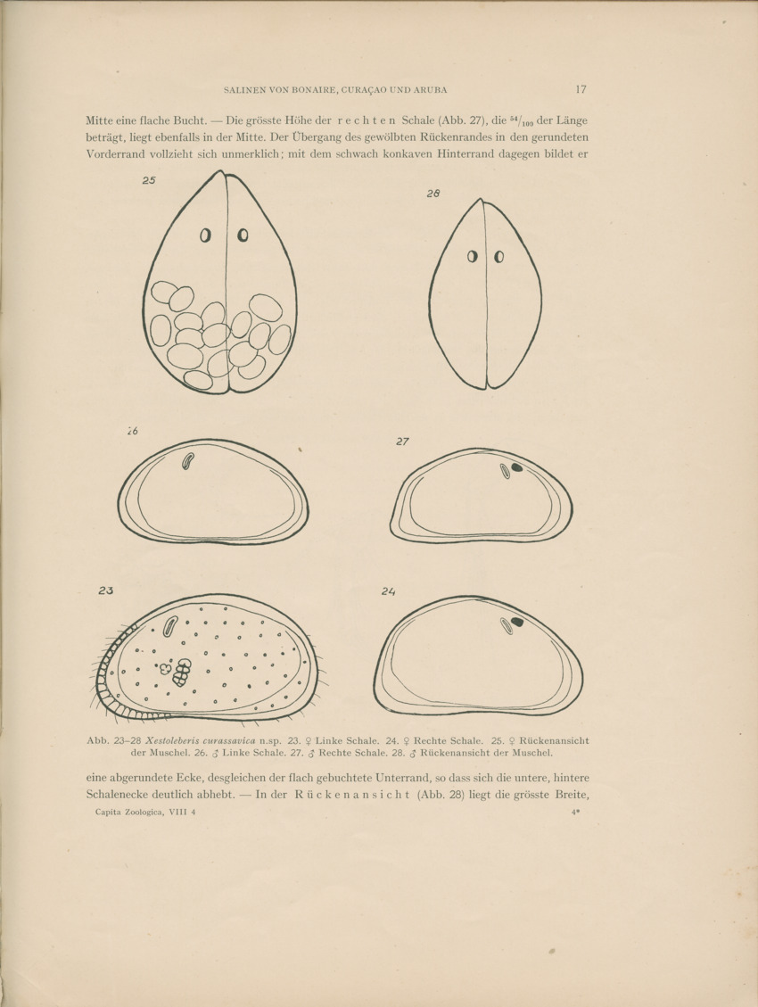 Ostracoden aus den marinen salinen von Bonaire, Curacao und Aruba - Capita Zoologica Vol VIII, part 4 (Zoologische Ergebnisse einer Reise nach Bonaire, Curacao und Aruba, nr 25) - New Page