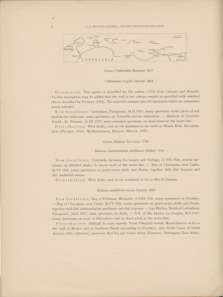 Recent and fossil Balanids from the north coast of South  America - Capita Zoologica Vol VIII, part 4-3 (Zoologische Ergebnisse einer Reise nach Bonaire, Curacao und Aruba, nr 26) - New Page