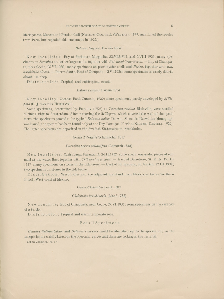 Recent and fossil Balanids from the north coast of South  America - Capita Zoologica Vol VIII, part 4-3 (Zoologische Ergebnisse einer Reise nach Bonaire, Curacao und Aruba, nr 26) - New Page