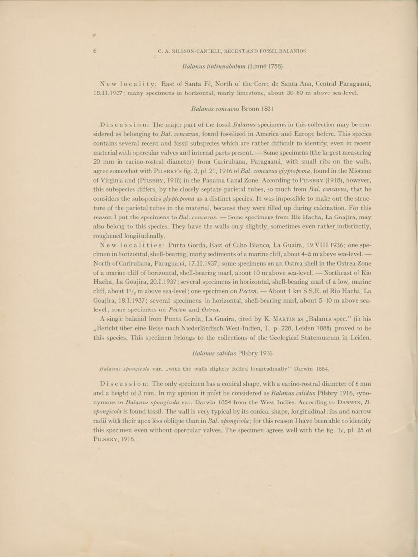 Recent and fossil Balanids from the north coast of South  America - Capita Zoologica Vol VIII, part 4-3 (Zoologische Ergebnisse einer Reise nach Bonaire, Curacao und Aruba, nr 26) - New Page
