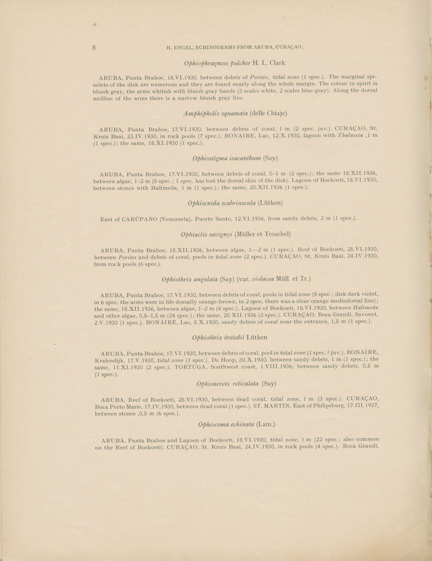 Echinoderms from Aruba, Curacao, Bonaire and Northern Venezuela - Capita Zoologica Vol VIII, part 4-4 (Zoologische Ergebnisse einer Reise nach Bonaire, Curacao und Aruba, nr 27) - New Page