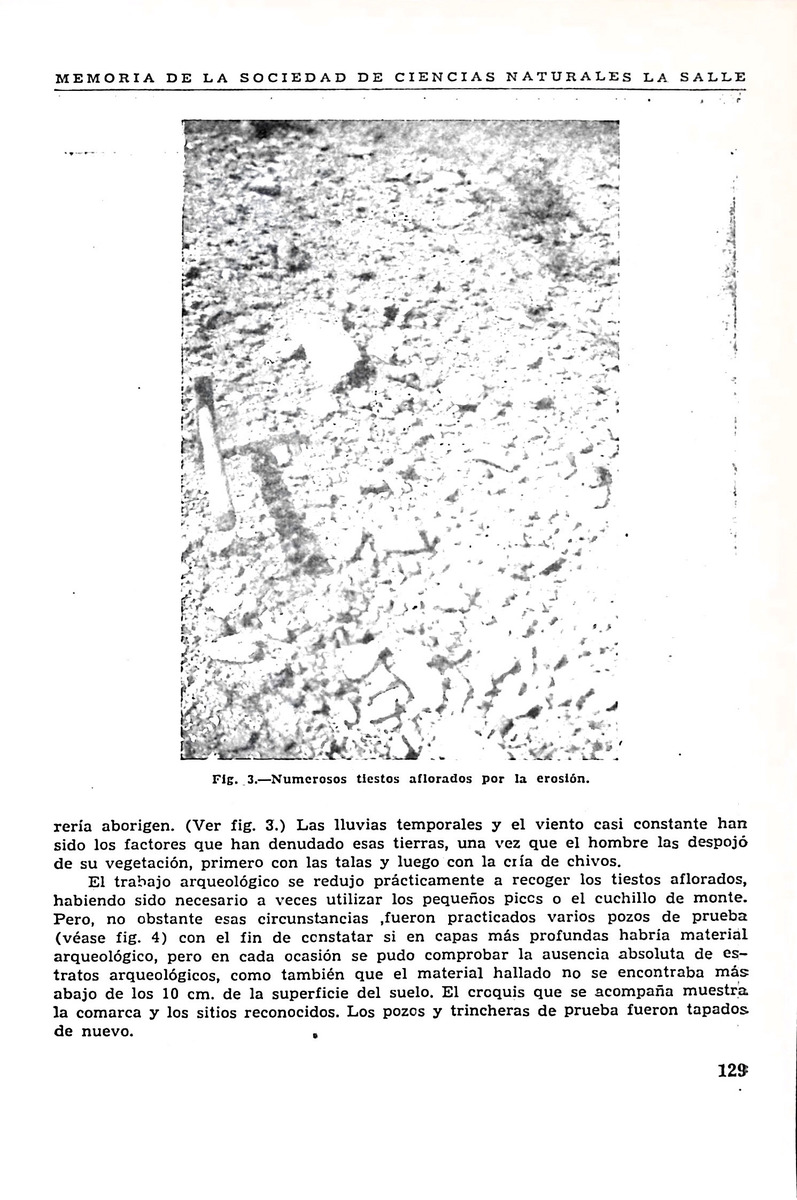 Memoria, Sociedad de Ciencias Naturales La Salle - 1946, Ano VI, Num. 16 - New Page