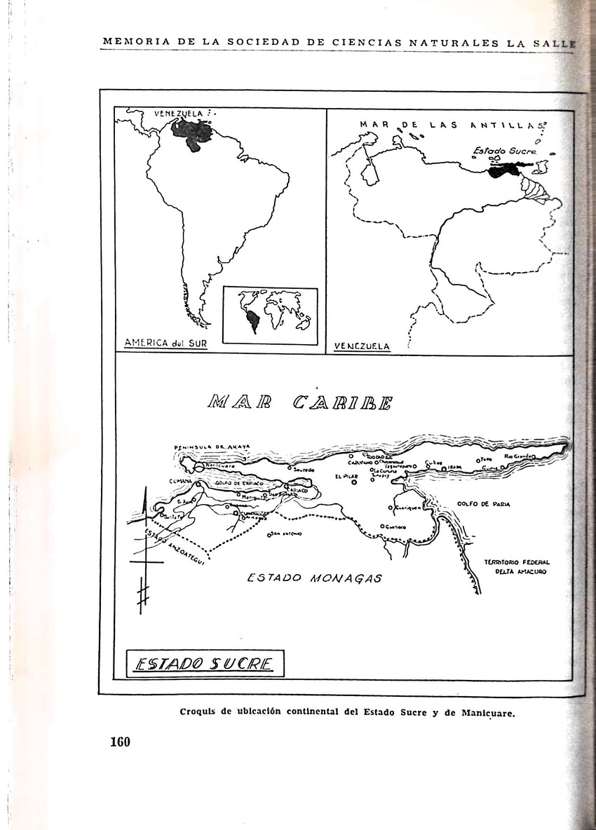 Memoria, Sociedad de Ciencias Naturales La Salle - 1946, Ano VI, Num. 16 - New Page