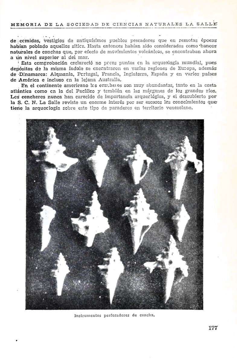 Memoria, Sociedad de Ciencias Naturales La Salle - 1946, Ano VI, Num. 16 - New Page