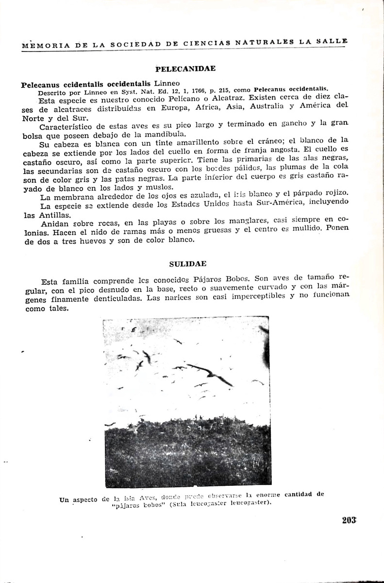 Memoria, Sociedad de Ciencias Naturales La Salle - 1946, Ano VI, Num. 16 - New Page