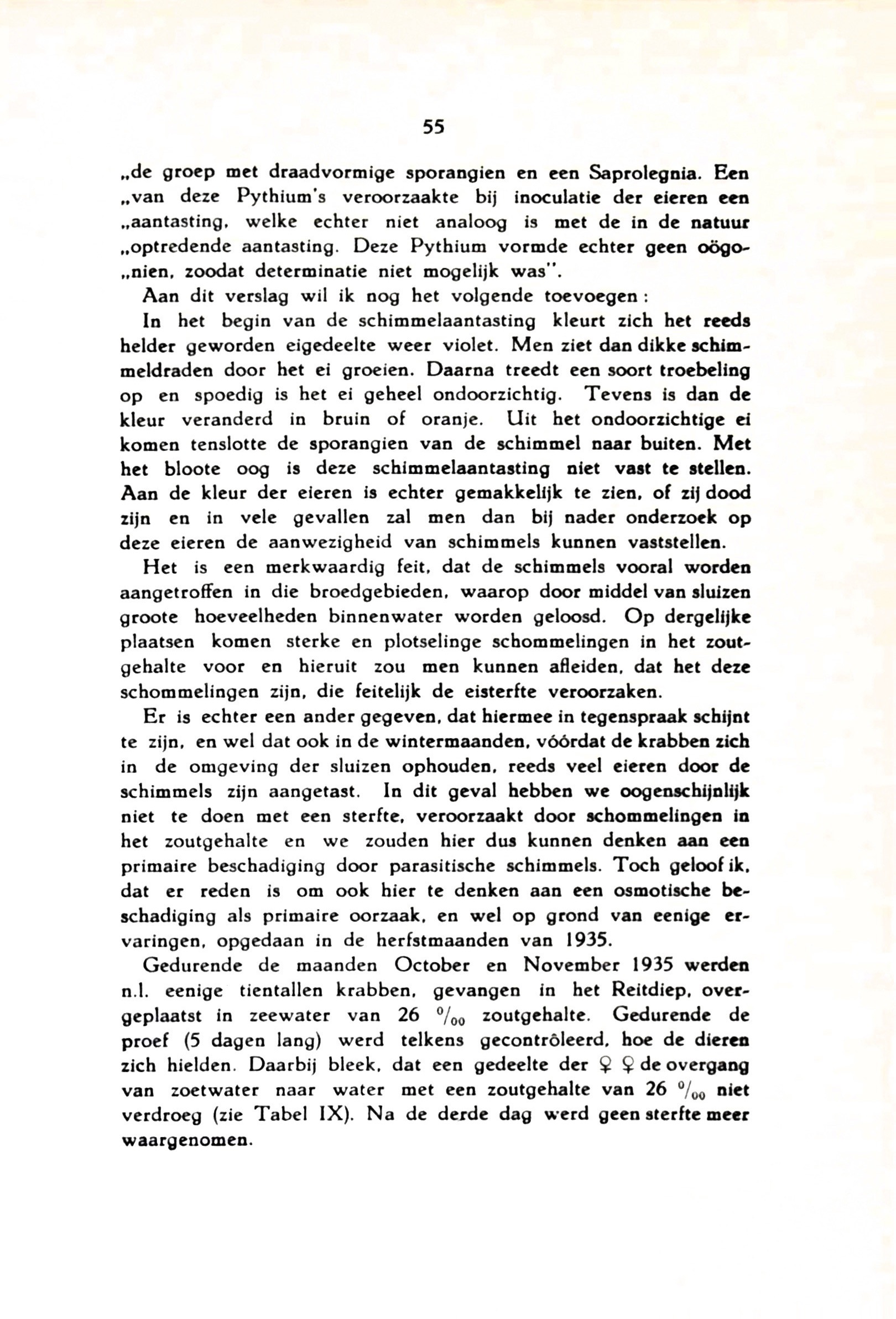 De Chineesche wolhandkrab in Nederland - image00065