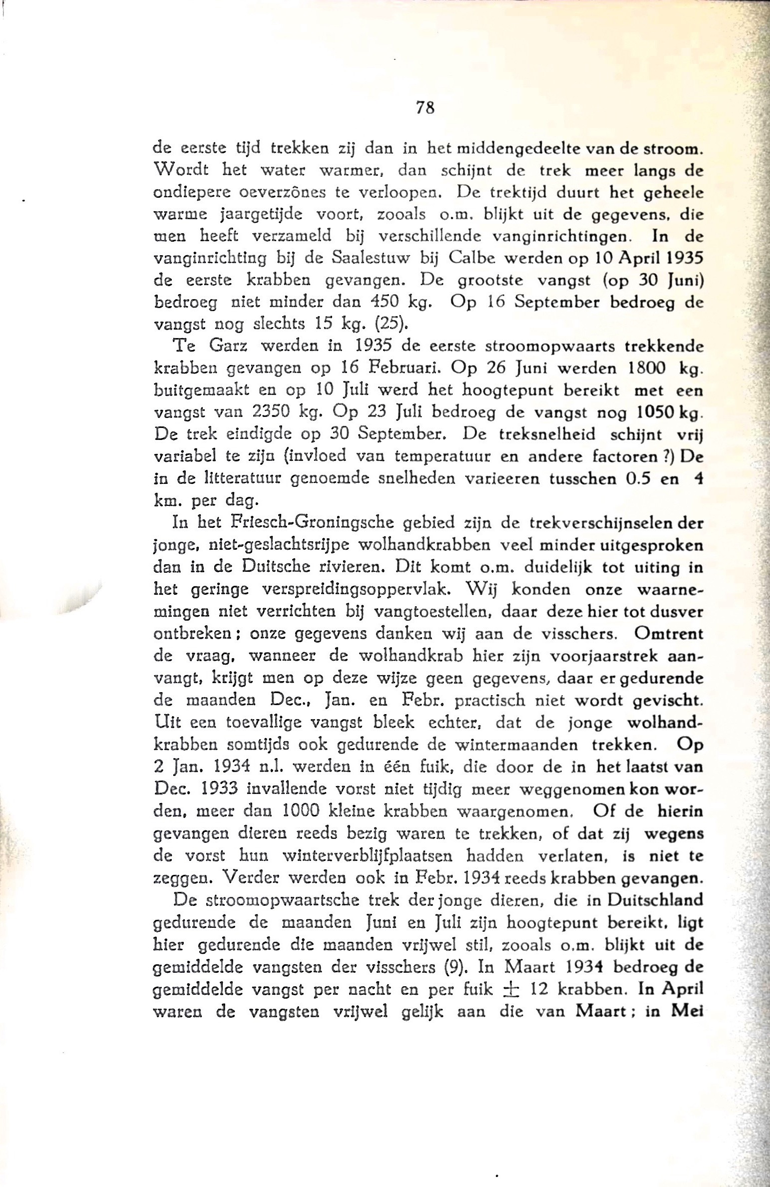 De Chineesche wolhandkrab in Nederland - image00090