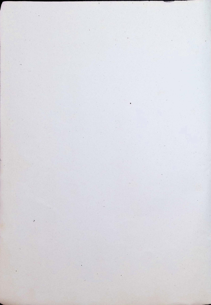 Archeological Material from Saba and St. Eustatius, Lesser Antilles - New Page