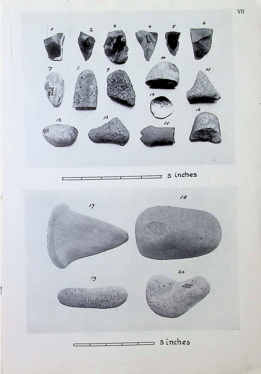 Archeological Material from Saba and St. Eustatius, Lesser Antilles - New Page
