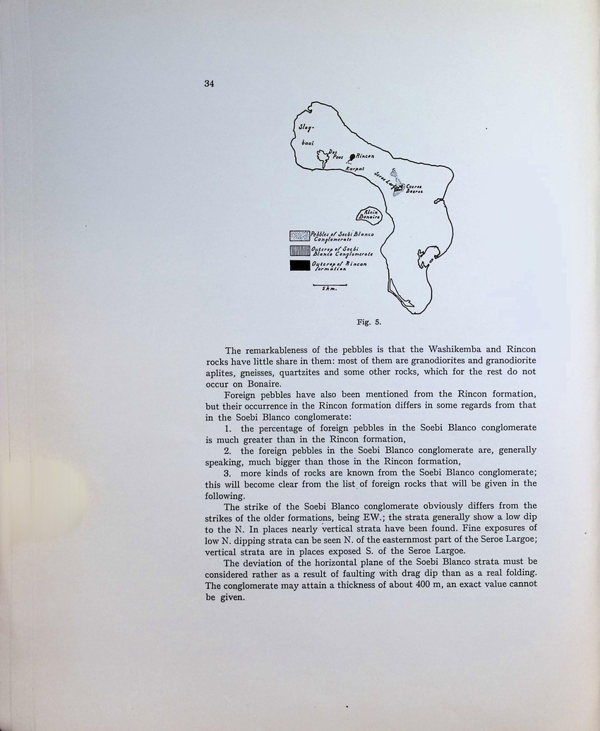 Geology and Paleontology of Bonaire (D.W.I.) - New Page