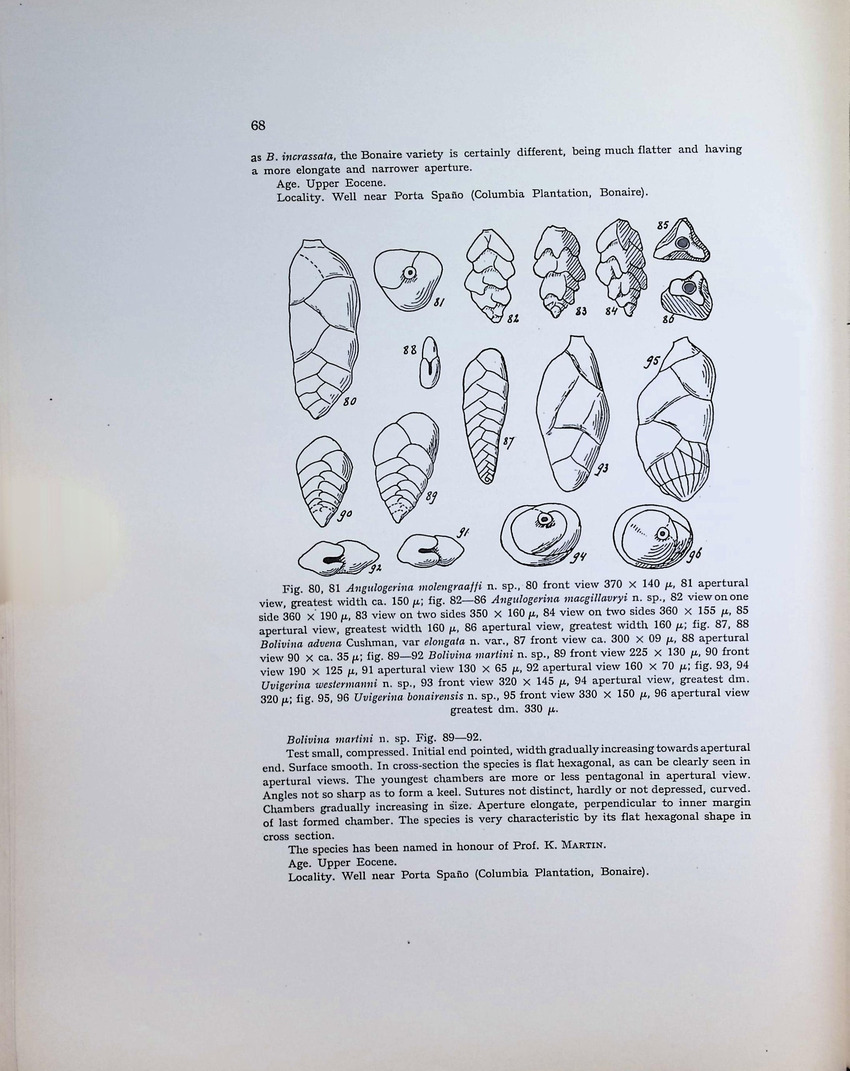 Geology and Paleontology of Bonaire (D.W.I.) - New Page