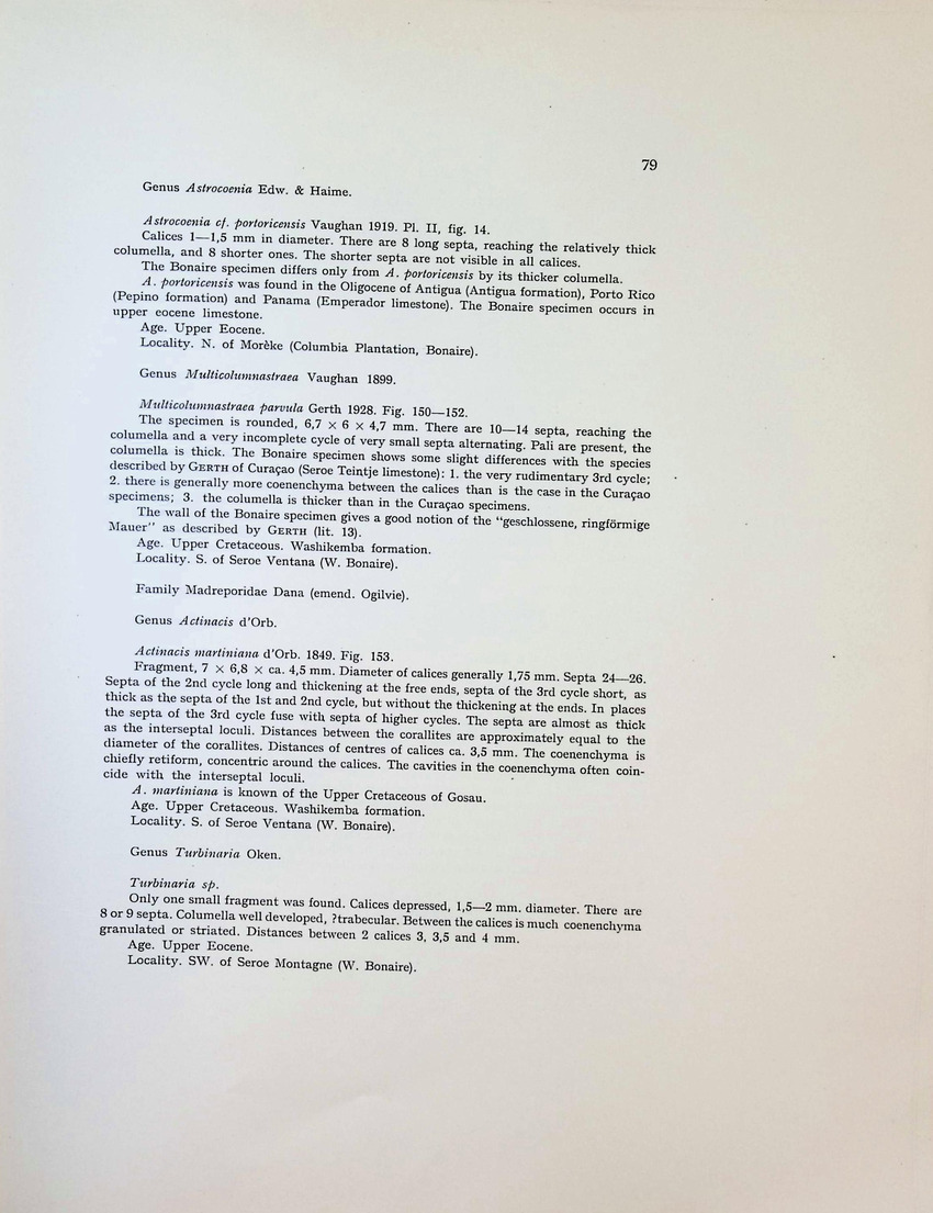 Geology and Paleontology of Bonaire (D.W.I.) - New Page