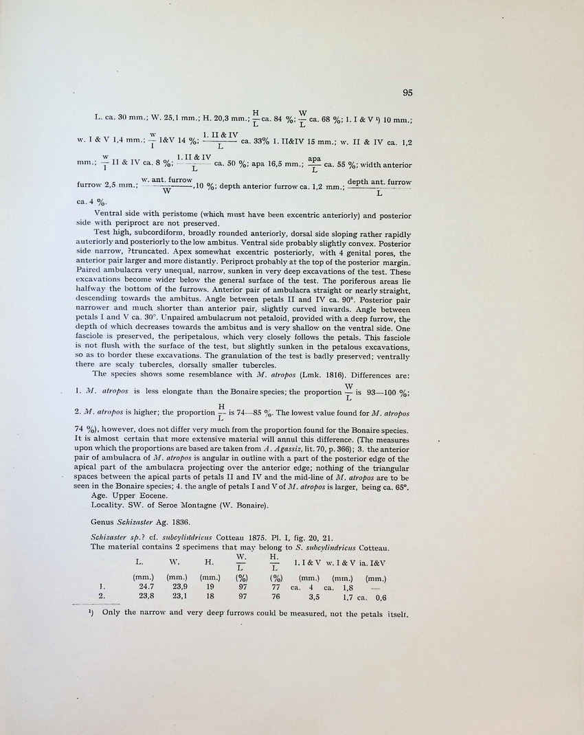 Geology and Paleontology of Bonaire (D.W.I.) - New Page