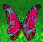De levenscyclus van vlinder